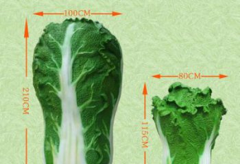 白菜雕塑廠家，仿真白菜雕塑，玻璃鋼蔬菜彩繪雕塑